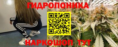 каннабис Камышлов