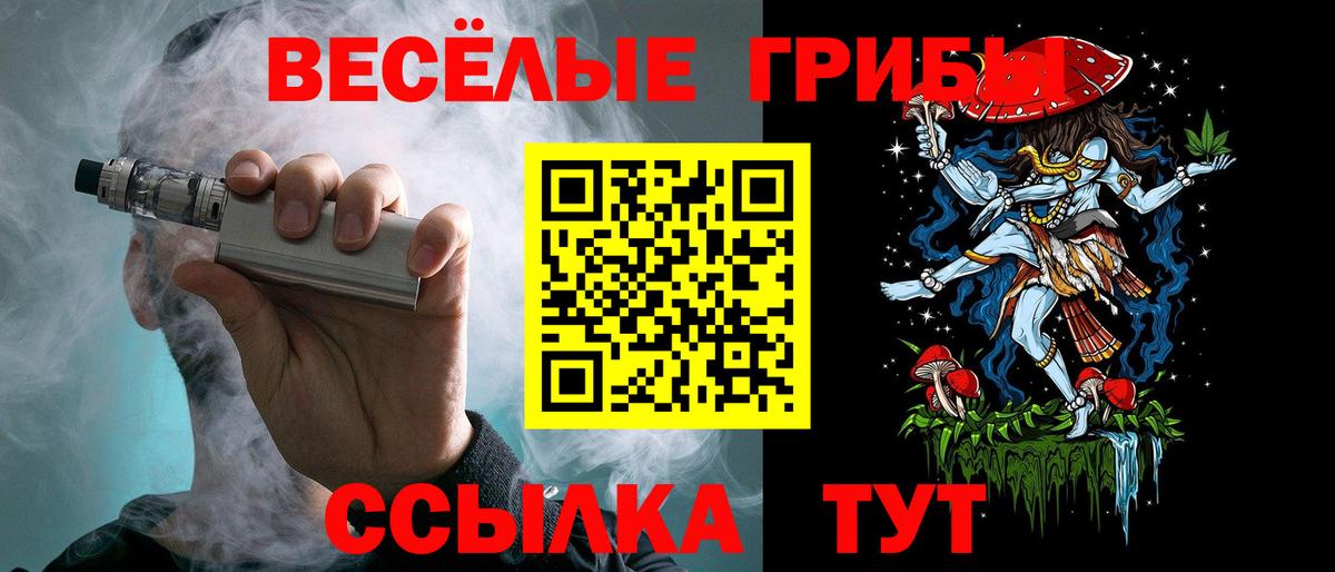 Котлас  Галлюциногенные грибы мухоморы  Вход с VPN  Галлюциногенные грибы ЛСД 